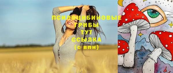не бодяженный Алексин