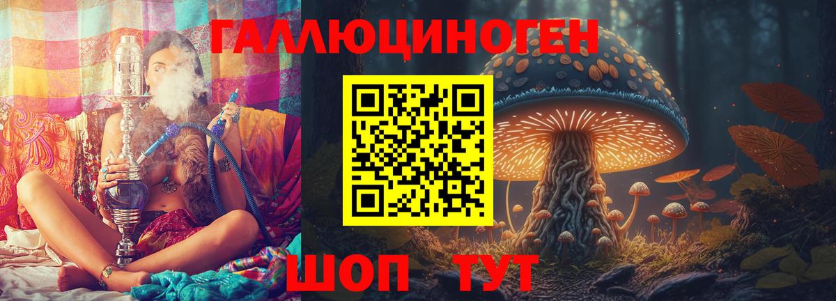 Псилоцибиновые грибы Psilocybe Павлово