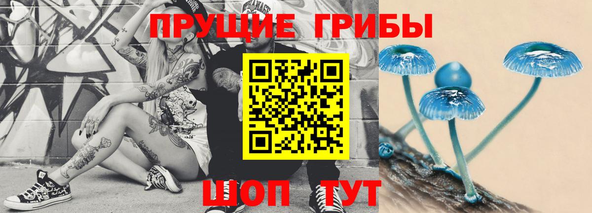 Галлюциногенные грибы Psilocybine cubensis  Вход с VPN  Павлово 